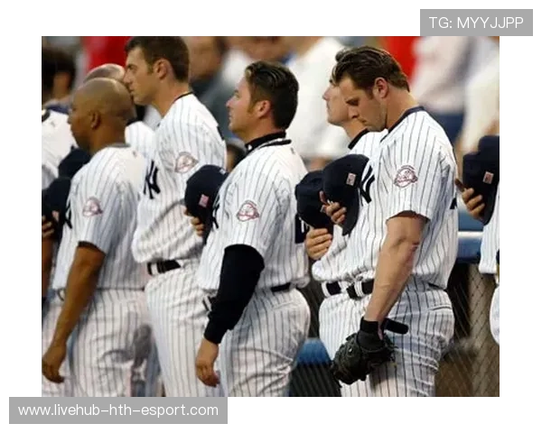 美国职业棒球：扬基队豪取连续胜利，夺冠在望！，棒球洋基队标志