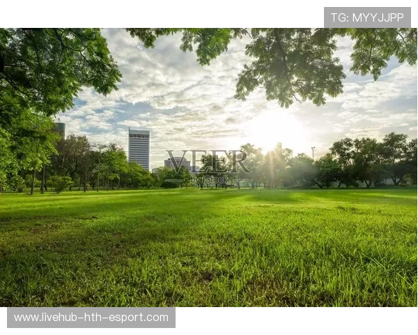 篮球赛事中的绿色环保理念在中国的推广方式，全国绿色城市篮球邀请赛