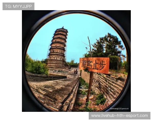 世界登山青年导师暑期生态修复项目结项展播，世界登山大师